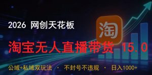 2026网创天花板,淘宝无人直播带货15.0,公域+私域双玩法,日入1k+,不违规不封号【揭秘】-网创资源站