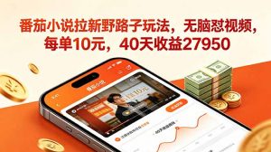 番茄小说拉新野路子玩法,无脑怼视频,每单10元,40天收益27950-网创资源站