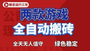海外游戏全自动搬砖,日入1k+,全天无人值守,绿色稳定!【揭秘】-网创资源站
