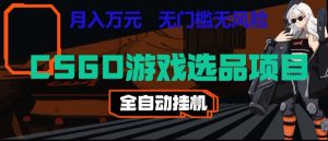 CSGO游戏自动扫货项目,全自动运行,月入1W,无风险,长期稳定可以做【揭秘】-网创资源站