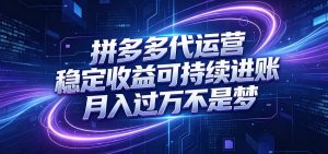 拼多多代运营，小白也能轻松月入过万，真实运营数据可查，全托管代运营-网创资源站