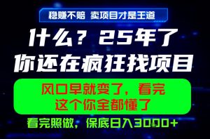 26年，请不要疯狂的找项目做了！卖项目才是真的稳賺不赔，看完照做，保底日入1k+【揭秘】-网创资源站