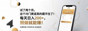 试了两个月，这个冷门赛道真的藏不住了！每天日入200+，照做就能赚！-网创资源站