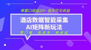 2026酒店数据采集ai智能矩阵新风口 低成本 高收益 当天见收益 单窗口20+-网创资源站